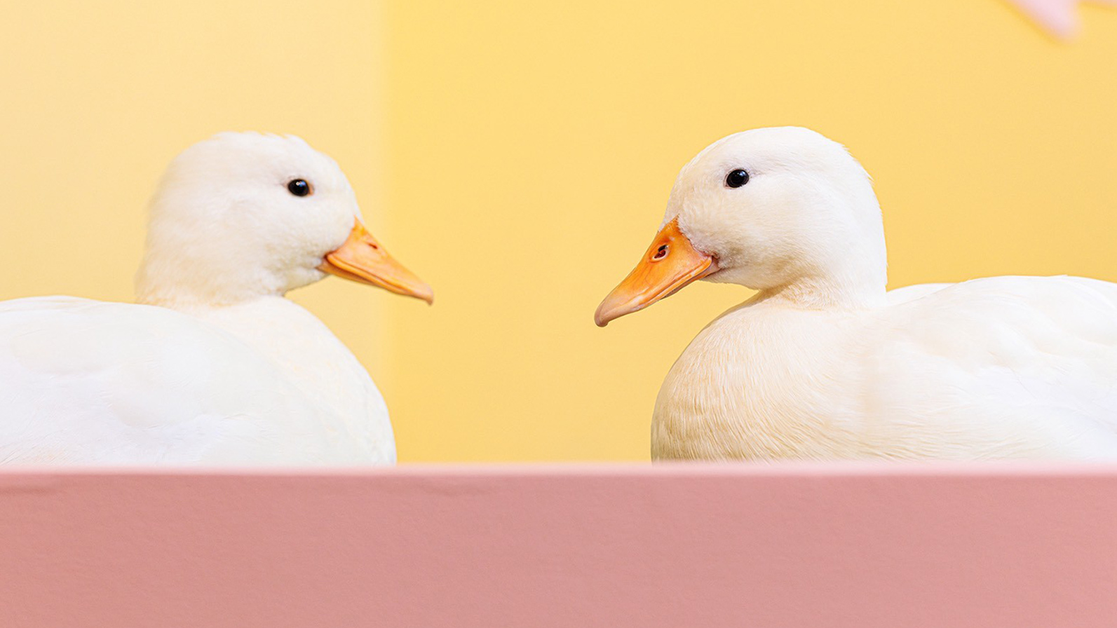 30代女性イラスト